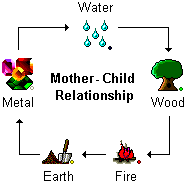 Five Element Mother-Child Relationship